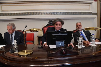 El desacuerdo del peronismo en el Senado bonaerense dejó al exlibertario Carlos Kikuchi como presidente en un tramo de una sesión, el lunes pasado