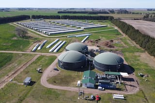 El desafío de una porcicultura sostenible