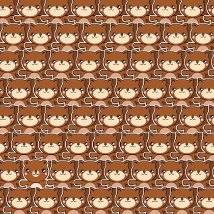 El desafío es encontrar al oso escondido entre las ardillas antes de los 30 segundos