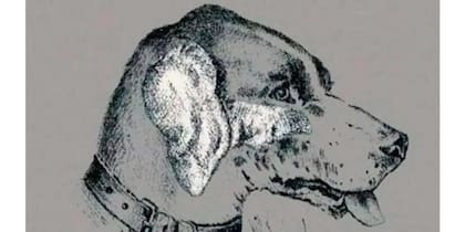 El desafío es encontrar la cabeza de un hombre escondida en el dibujo de un perro antes de los 10 de segundos