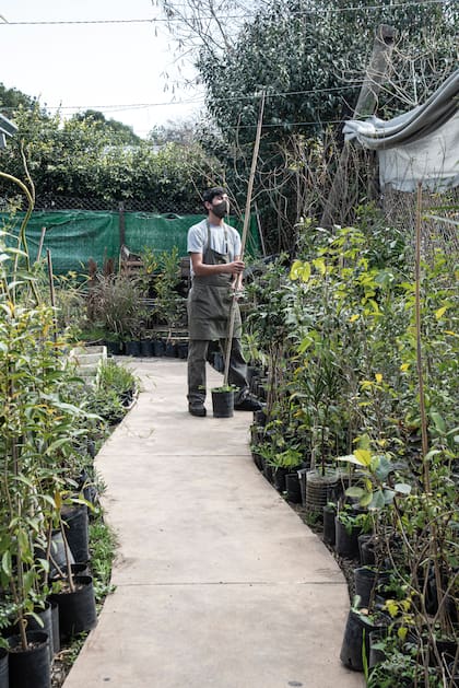 El desafío es reproducir más especies nativas y divulgarlas