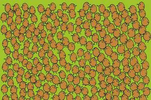 El desafío para expertos que es tendencia en redes.