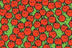 Acertijo visual: en 10 segundos encuentra la manzana perdida entre los tomates