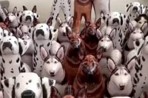 El desafío que tiene a todos los usuarios compitiendo entre si.