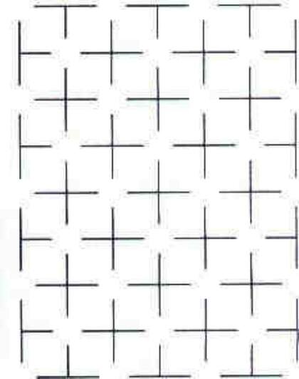 El desafío viral que engaña al 99% de quienes lo miran