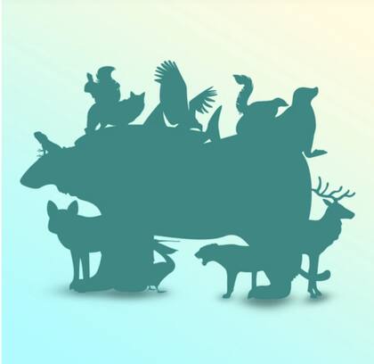 El desafío viral que te reta a hallar a los animales ocultos en esta imagen