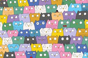 El desafío visual del gato que requiere de 15 segundos para resolverlo