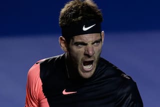 Del Potro derrotó a Kevin Anderson en la final del ATP de Acapulco