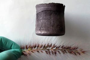 El desarrollo de este material significaría un gran avance en la industria energética y electrónica