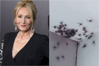 La terrorífica invasión de tarántulas en una casa en Australia que espantó a J. K. Rowling