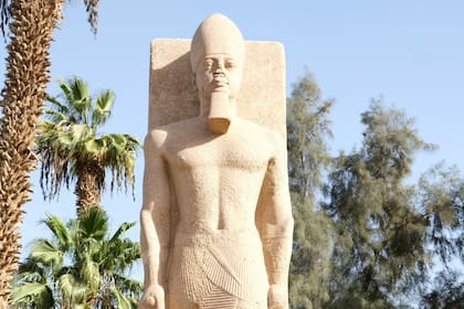 El descubrimiento de la parte superior de Ramsés II se dio de forma fortuita