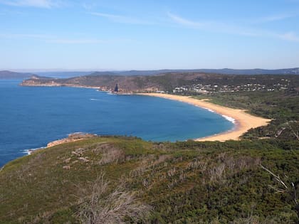 El descubrimiento del arácnido tuvo lugar en la Costa Central, situada aproximadamente a 80 kilómetros al norte de Sydney