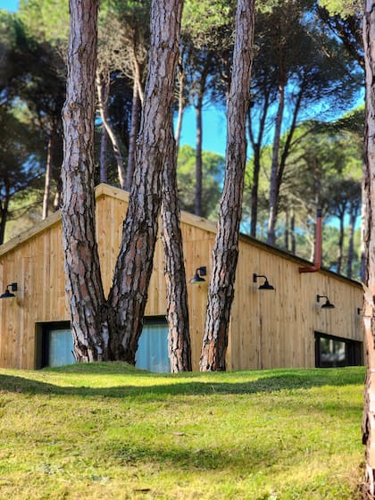 El desgaste natural en el pino hace que quede con una textura envejecida.