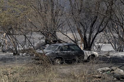El después del incendio en Epuyén