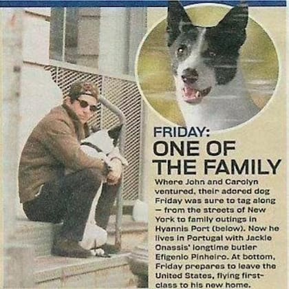 El destino de Friday, el adorado perro los Kennedy, en la prensa. Así mostraban su partida de los Estados Unidos hacia Portugal
