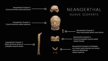 El detalle de algunas de las piezas halladas en la Gruta Guattari