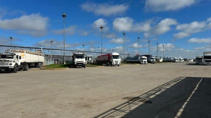 El detalle de venta fue 1419 novillos; 1608 novillitos; 2126 vaquillonas; 3465 vacas; 1050 conservas, y 275 toros