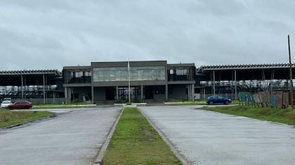 El detalle de venta fue 485 novillos; 999 novillitos; 1128 vaquillonas; 1465 vacas; 523 conservas, y 127 toros