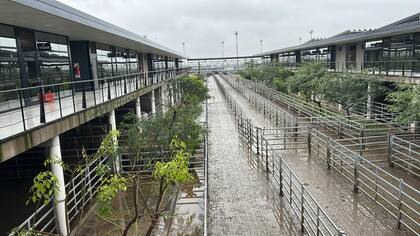 El detalle de venta fue 700 novillos; 1315 novillitos; 1884 vaquillonas; 2275 vacas; 463 conservas, y 281 toros