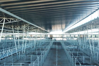 El detalle de venta fue 818 novillos; 2264 novillitos; 3260 vaquillonas; 666 vacas; 169 conservas; y 108 toros