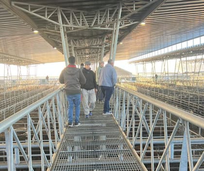 El detalle de ventas fue 434 novillos; 994 novillitos; 1241 vaquillonas; 1006 vacas; 72 conservas, y 90 toros