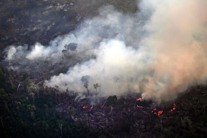 Siete de los nueve estados amazónicos brasileños solicitaron ayuda al ejército para combatir los incendios forestales