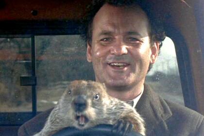 El día de la marmota