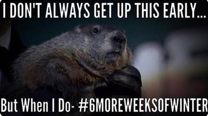 El Día de la Marmota es una de las celebraciones más esperadas por los estadounidenses