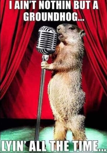 El Día de la Marmota se celebra cada 2 de febrero, y los memes ya están aquí