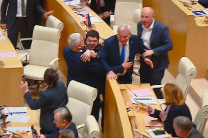 El día de la votación de la "ley rusa" se desataron peleas dentro del recinto legislativo en Tiflis