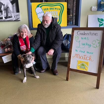 El Día de San Patricio, la familia perfecta se enamoró de Galentine y decidió adoptarla.