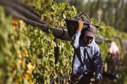 El Día del Trabajador Vitivinícola en Argentina se celebra todos los 1 de febrero, pero en 2024 se corre el asueto al lunes 5 para garantizar un fin de semana largo