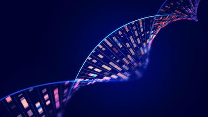 El Día Internacional del ADN se conmemora cada 25 de abril con el fin de celebrar uno de los hitos más importantes de la ciencia