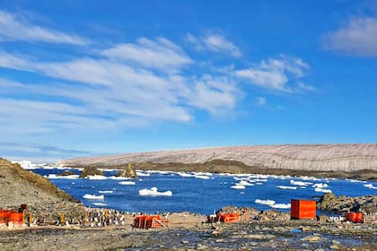 Son 14 los chicos que estudiarán en la base Esperanza este año: dos en el nivel inicial, siete en el primario, cinco en el secundario