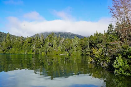 El Día Mundial de la Vida Silvestre se celebra todos los 3 de marzo