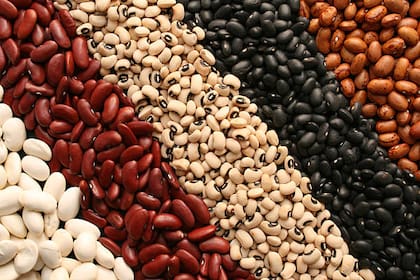 El Día Mundial de las Legumbres se realiza todos los 10 de febrero para resaltar los aportes beneficiosos de este tipo de semillas comestibles