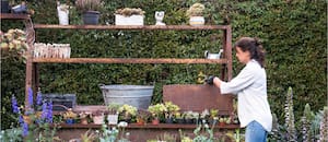 Buenas ideas para lograr un jardín con encanto