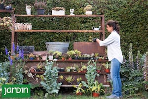 Buenas ideas para lograr un jardín con encanto