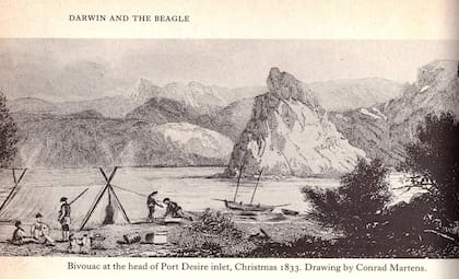 El dibujo de la piedra (de Darwin) que Conrad Martens dibujó en 1833.