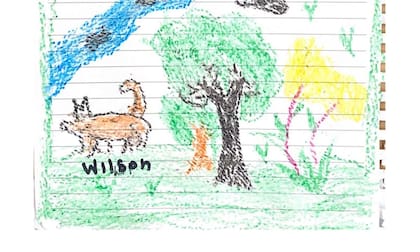 El dibujo del perro Wilson que hicieron los chicos colombianos