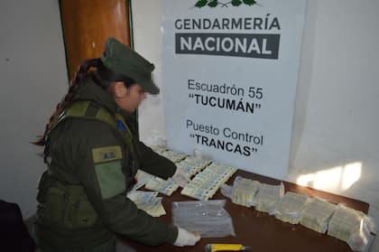 El dinero era transportado en una mochila de mano por un hombre de nacionalidad argentina sin aval legal