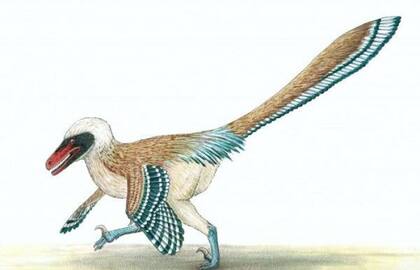 El dinosaurio habría merodeado por los bosques que cubrían la tierra en el Cretácico Inferior, hace 125 millones de años