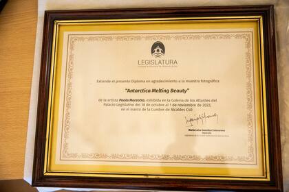 El diploma que le entregó la Legislatura de la Ciudad de Buenos Aires a Paola Marzotto