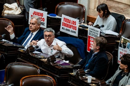 El diputado Esteban Paulón en pleno recinto
