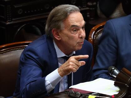 El diputado Miguel Pichetto al final de la tercera jornada de debate por la "Ley Ómnibus"