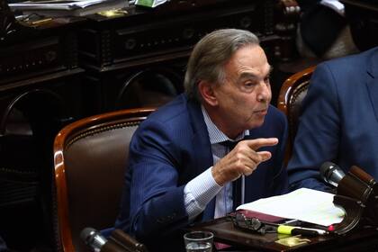 El diputado Miguel Pichetto al final de la tercera jornada de debate por la "Ley Ómnibus"