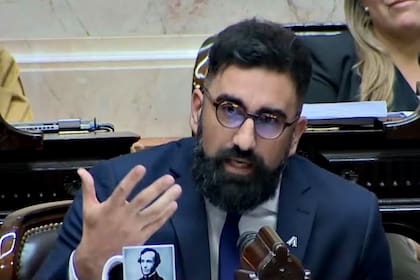 El diputado nacional de La Libertad Avanza Alejandro Bongiovanni sostuvo que hay que unificar criterios con otros países del Mercosur