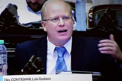 El diputado nacional Luis Contigiani