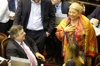 El diputado nacional por el radicalismo Mario Negri y la diputada nacional por Coalición Cívica Elisa Carrió