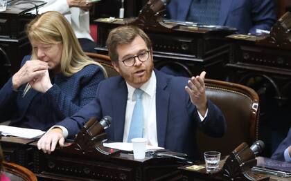 El diputado Nicolás Massot